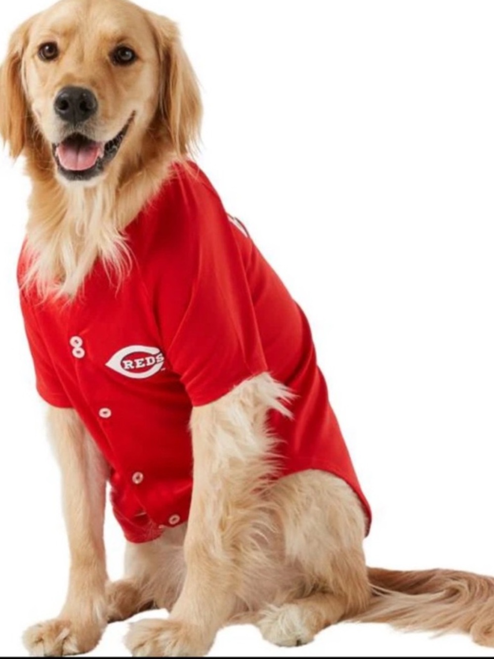 NWT Cincinnati Reds Dog Jersey - Black